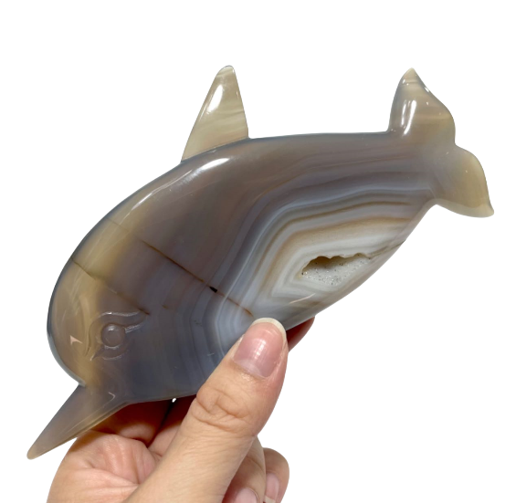 1 Count Geode Agate Dolphin Crystal Healing Crystal Gem Reiki Healing Home Decor Crystal Jewelry Shop Pretty Crystals From IG Crystal