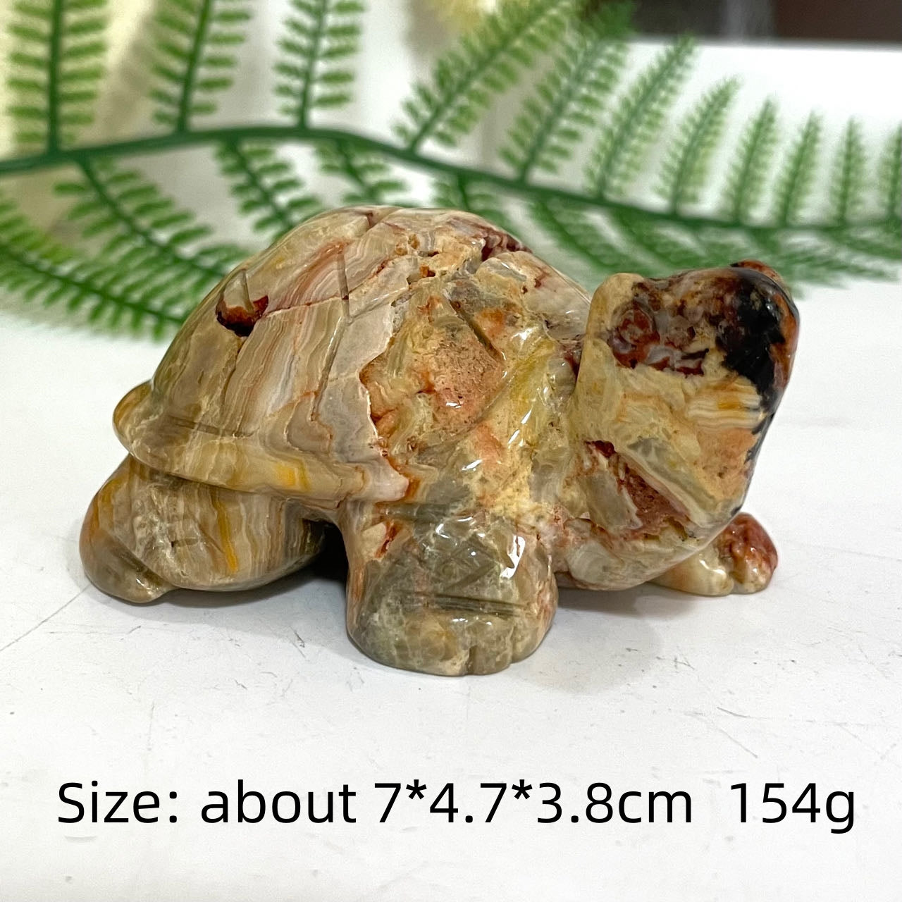 Crazy Lace Agate Animals Crystal Dog Dolphin Frog Cat Fish Shark Bear Rhinoceros Tortoise Healing Stone Home Decoration From IG Crystal