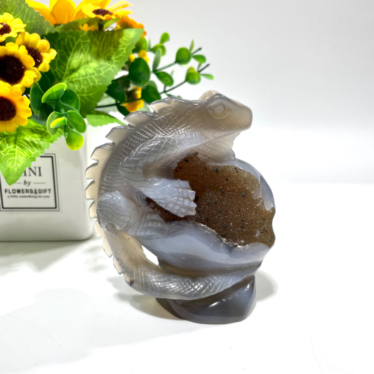 1 Count Geode Agate Lizard Healing Crystal Gem Reiki Healing Home Decor Crystal Jewelry Shop Pretty Crystals From IG Crystal