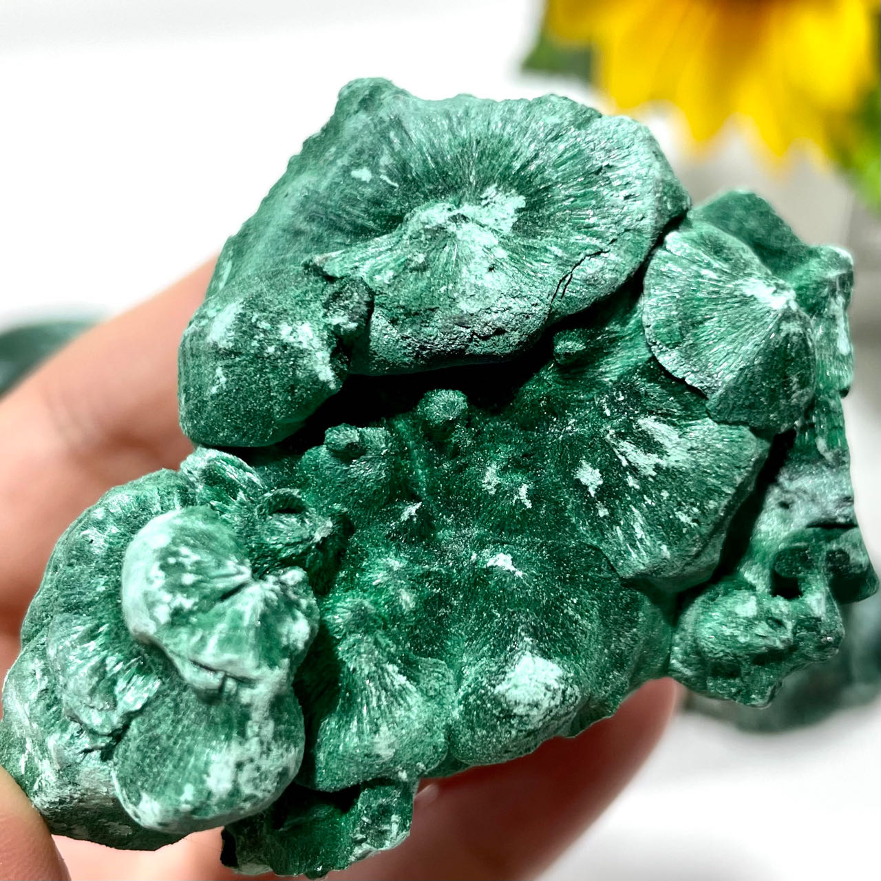 200g 300g Natural Malachite Stone Crystals Malachite Raw Irregular Rough Mineral Specimen and Healing Crystal Gem Reiki Healing Home Decor Crystal Jewelry Shop Pretty Crystals From IG Crystal