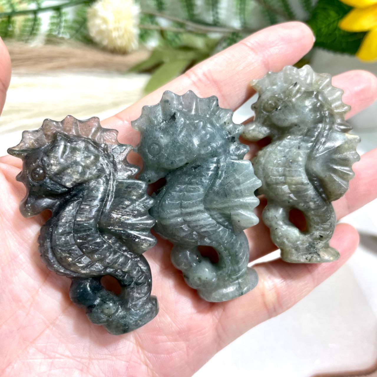 2 Counts Labradorite Seahorse Crystal Carving Healing Stone Home Decoration From IG Crystal