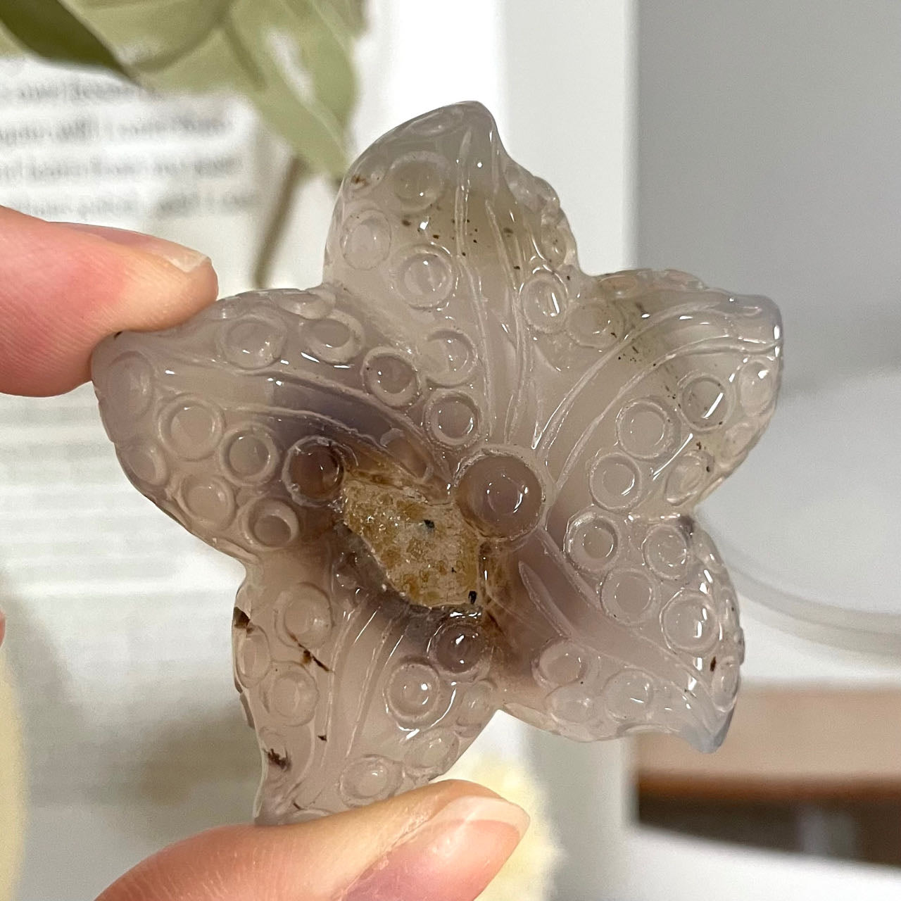 Stochastic 10PCS Star Shape Crystal Agate From IG Crystal