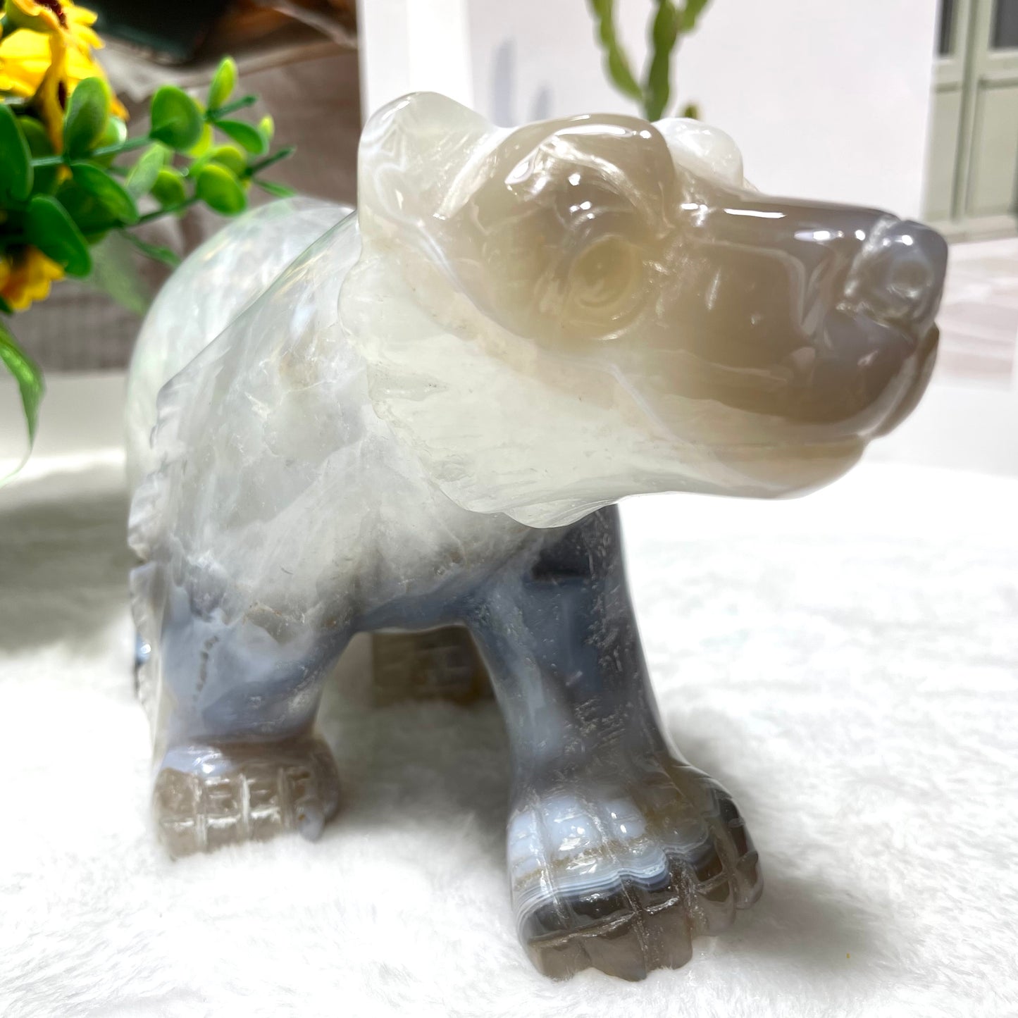 1 Count Geode Agate Bear Hippo Crystal Carving Natural Stone Gem Mining Chakra Balancing Reiki Healing Crystal Mystery Crystal Display Crystal Shopping Online Home Office Decor From IG Crystal