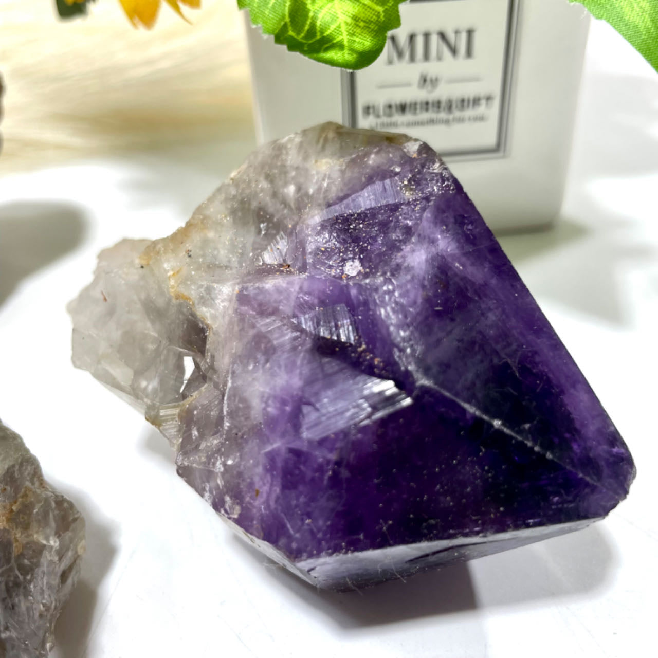 Amethyst Tooth Stone Bulk - Large Raw Deep Purple Amethyst Crystal Natural Banded Amethyst Chunks Natural Crystals Healing Stones Crystal Jewelry Shop Pretty Crystals From IG Crystal