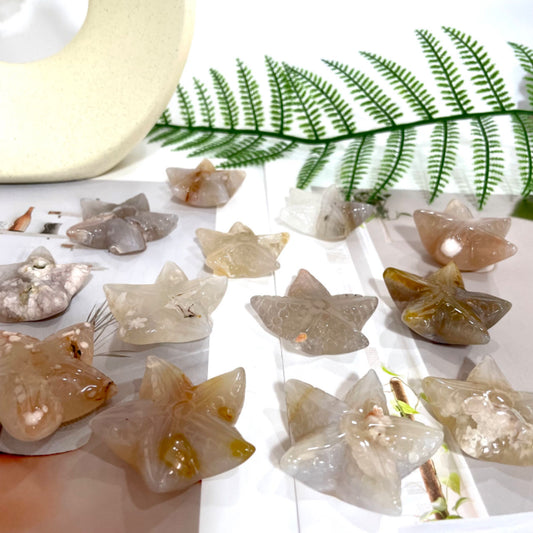 IG Crystal 10 Counts Starfish Shape Crystal Flower Agate Starfish Healing Crystal Home Decoration