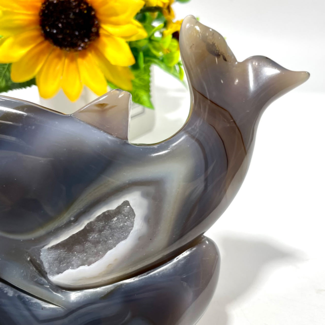 1 Count Geode Agate Dolphin Crystal Healing Crystal Gem Reiki Healing Home Decor Crystal Jewelry Shop Pretty Crystals From IG Crystal