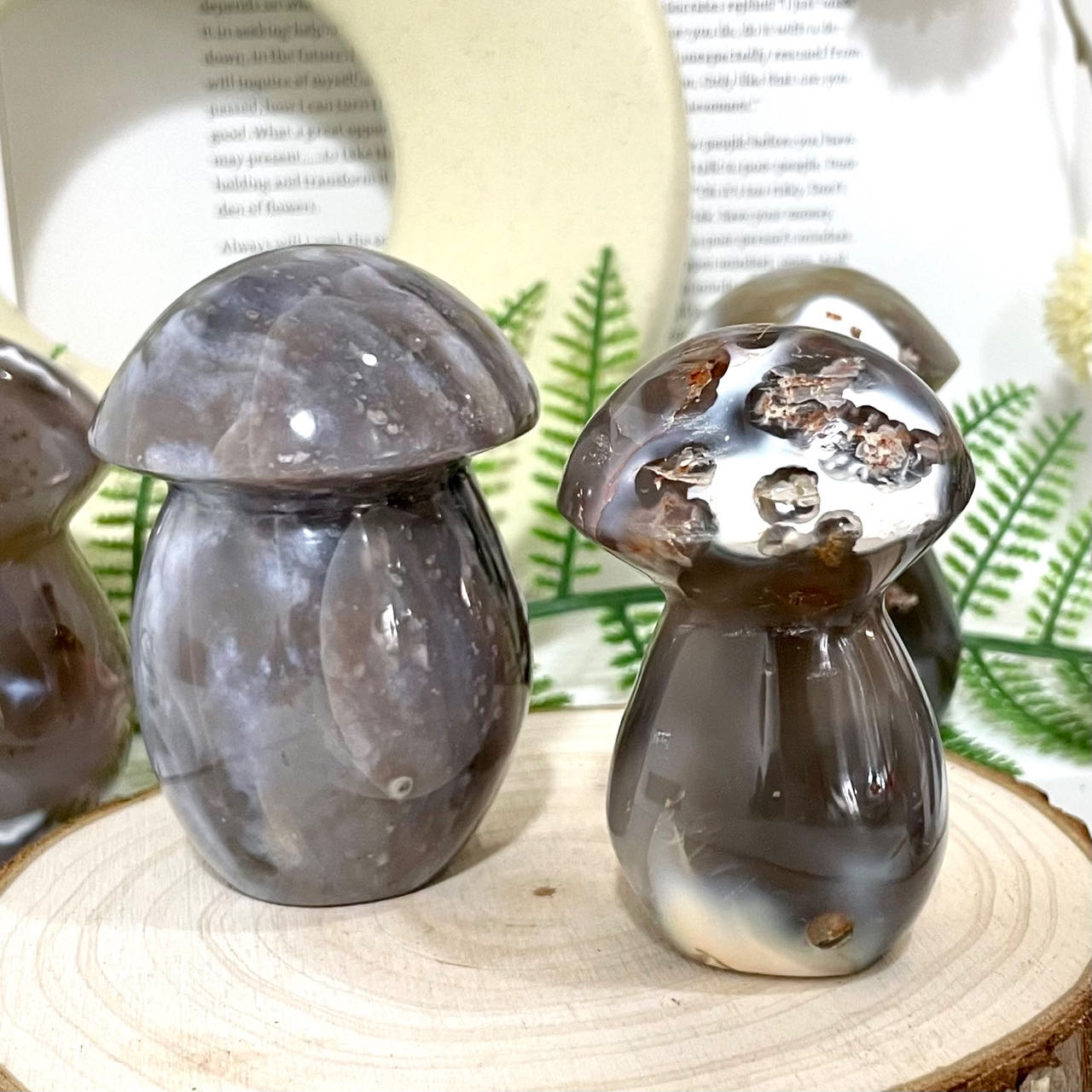 Killer Whale Mushroom Crystal Healing Stone Stochastic 2~3PCS From IG Crystal