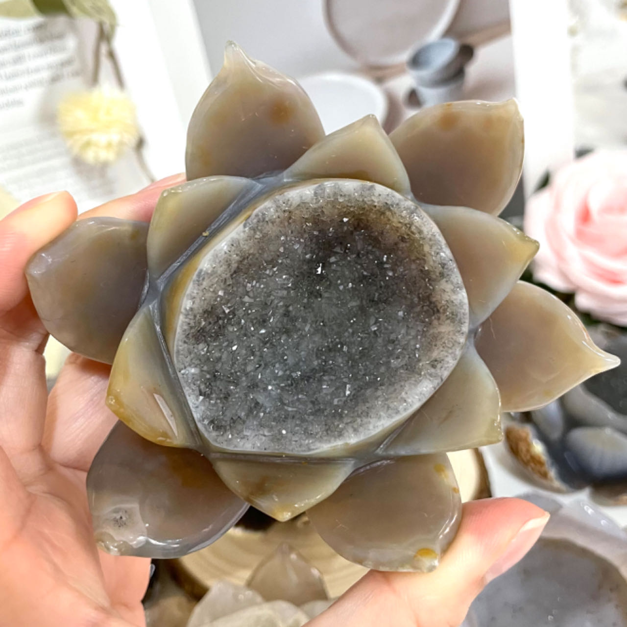 Lotus Druzy Natural Raw Geode From IG Crystal