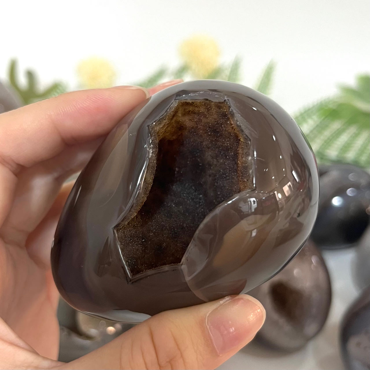 Different Maerail Druzy Egg Natural Raw Geode From IG Crystal