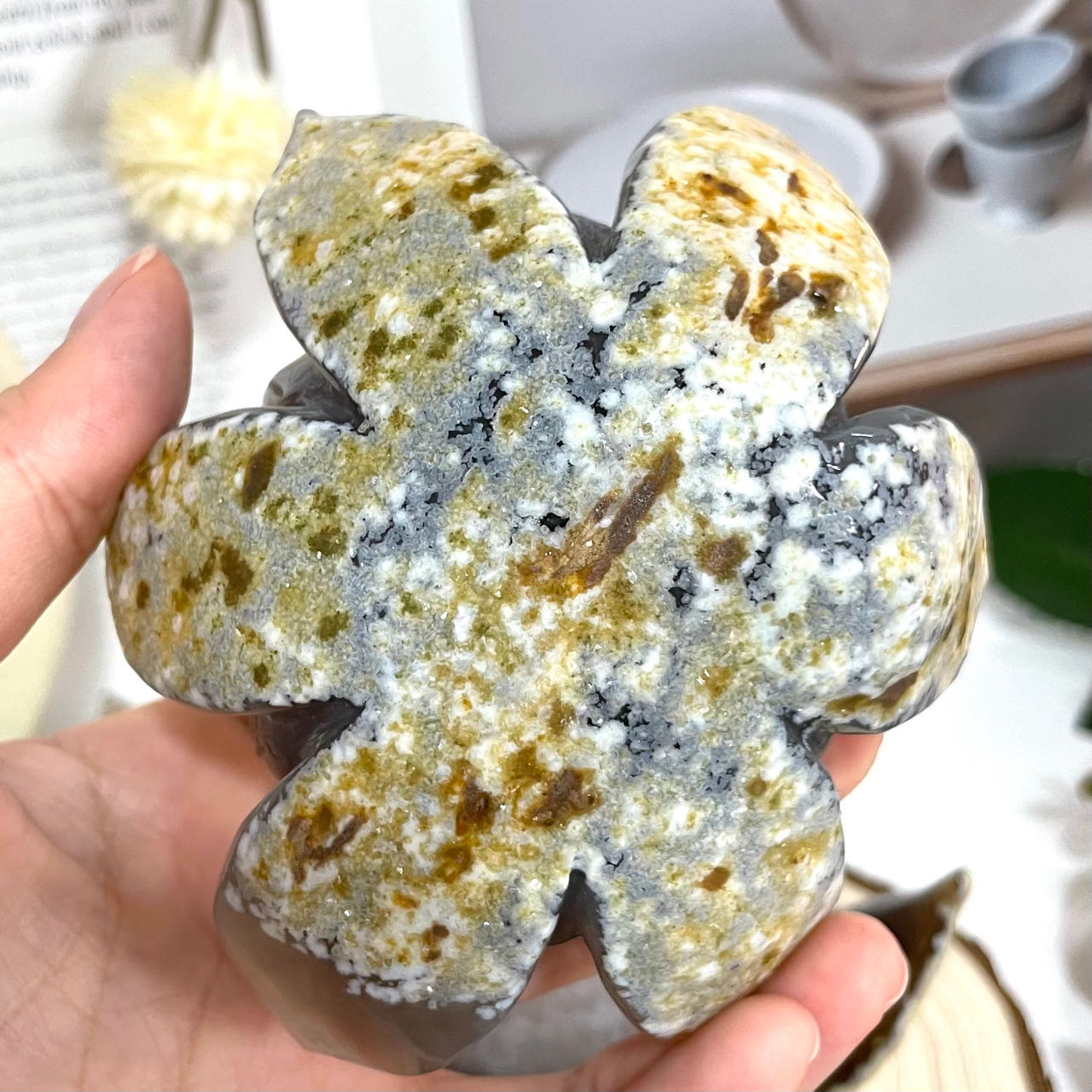 Lotus Druzy Natural Raw Geode From IG Crystal