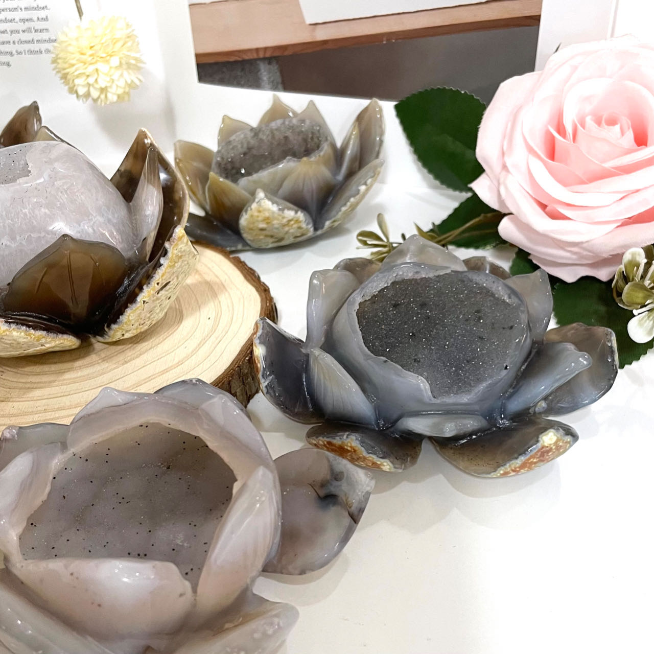 Lotus Druzy Natural Raw Geode From IG Crystal