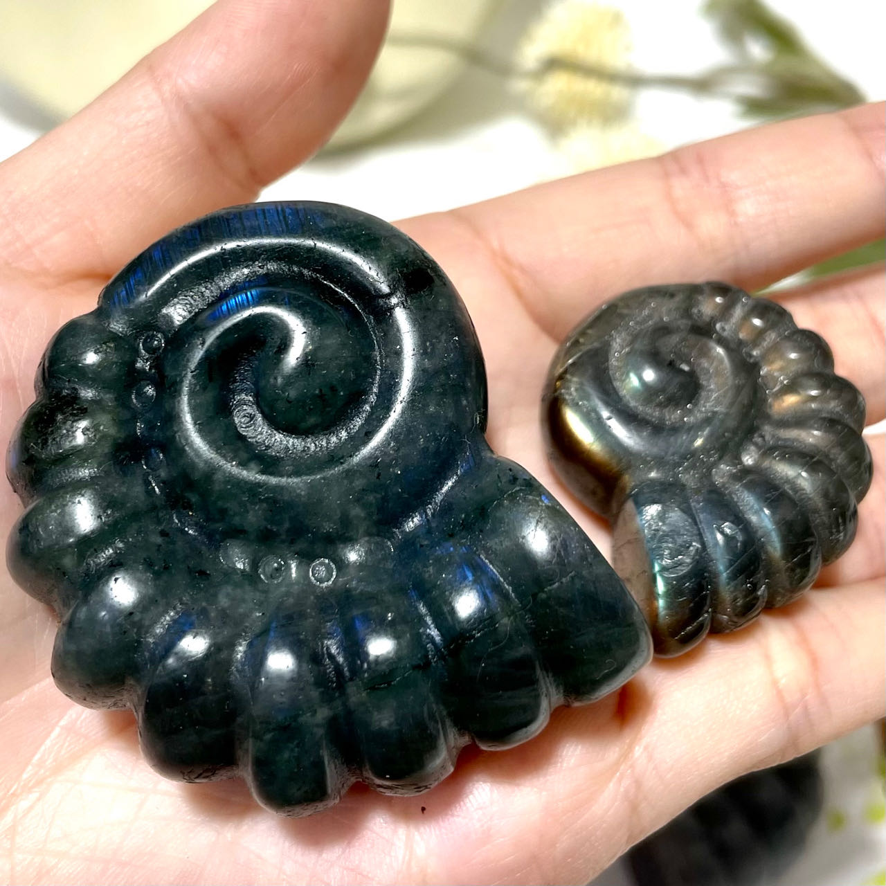 Labradorite Green Aventurine Snail Crystal 3CM 5CM Healing Crystal Home Decoration From IG Crystal