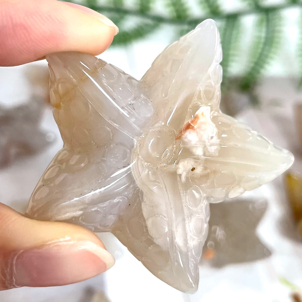 IG Crystal 10 Counts Starfish Shape Crystal Flower Agate Starfish Healing Crystal Home Decoration