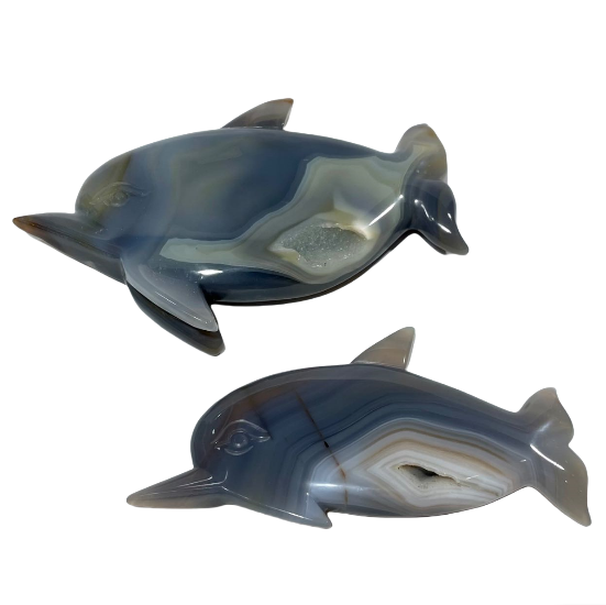 1 Count Geode Agate Dolphin Crystal Healing Crystal Gem Reiki Healing Home Decor Crystal Jewelry Shop Pretty Crystals From IG Crystal
