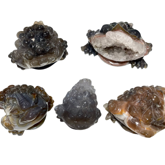 Natural Stone Druzy Agate Toad Crystal Geode Raw Stone For home decor From IG Crystal
