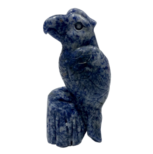 1 Count Sodalite Bird Crystal Carving Healing Crystal Gem Reiki Healing Home Decor Crystal Jewelry Shop Pretty Crystals From IG Crystal