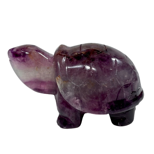 1 Count Purple Fluorite Tortoise Crystal Carving Healing Crystal Gem Reiki Healing Home Decor Crystal Jewelry Shop Pretty Crystals From IG Crystal