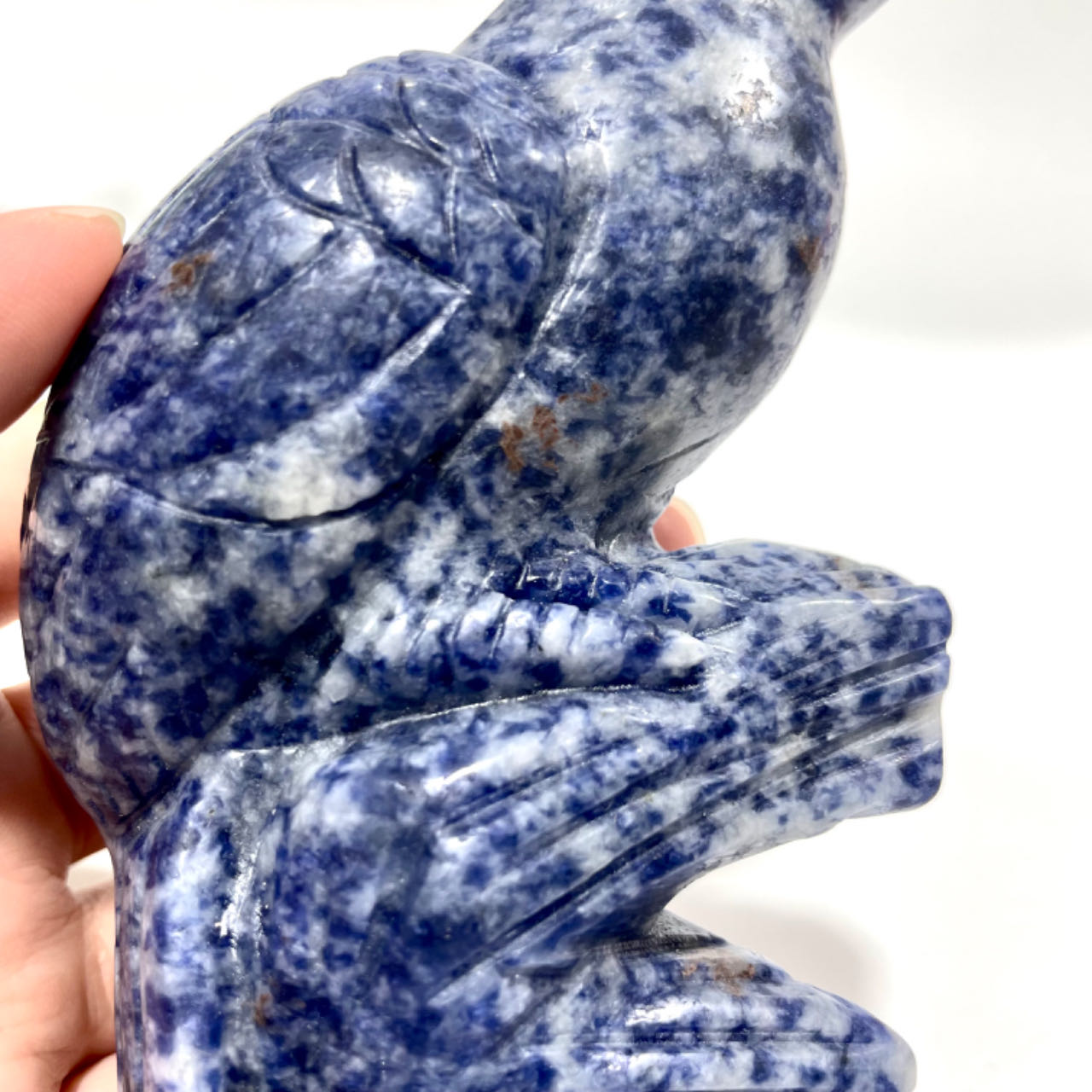 1 Count Sodalite Bird Crystal Carving Healing Crystal Gem Reiki Healing Home Decor Crystal Jewelry Shop Pretty Crystals From IG Crystal