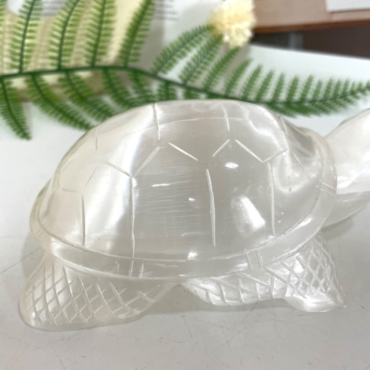 Selenite Turtle Crystal 1PCS Healing Stone for Spiritual Use Home Decor From IG Crystal