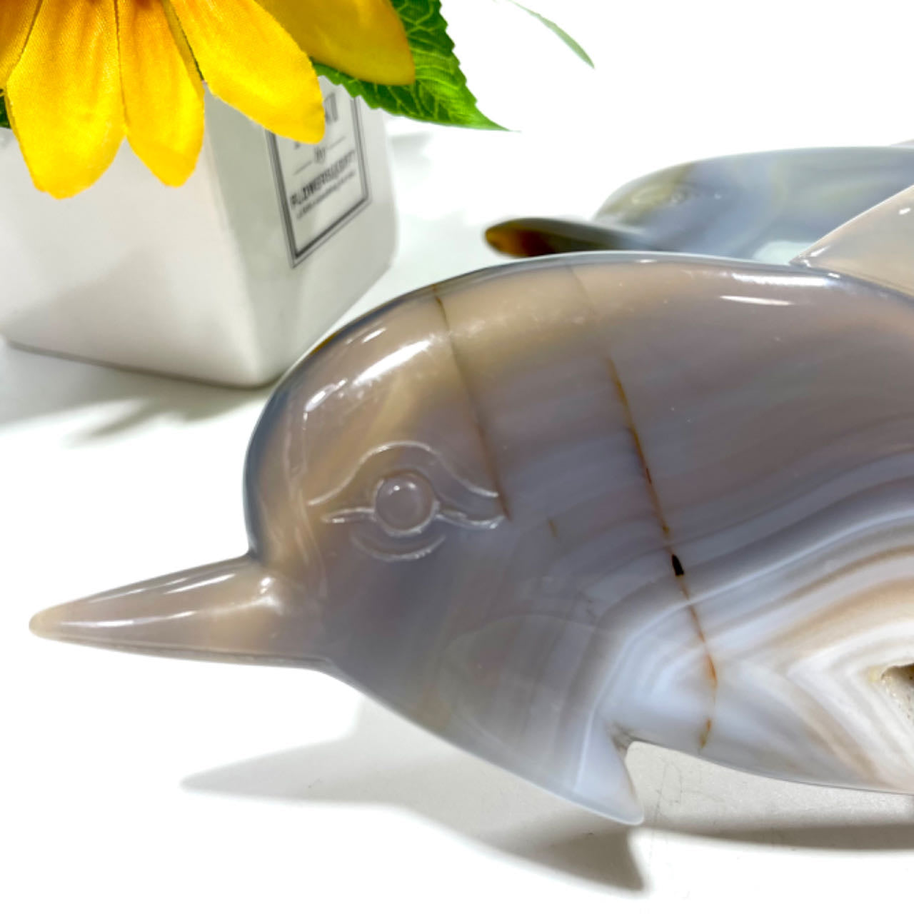 1 Count Geode Agate Dolphin Crystal Healing Crystal Gem Reiki Healing Home Decor Crystal Jewelry Shop Pretty Crystals From IG Crystal