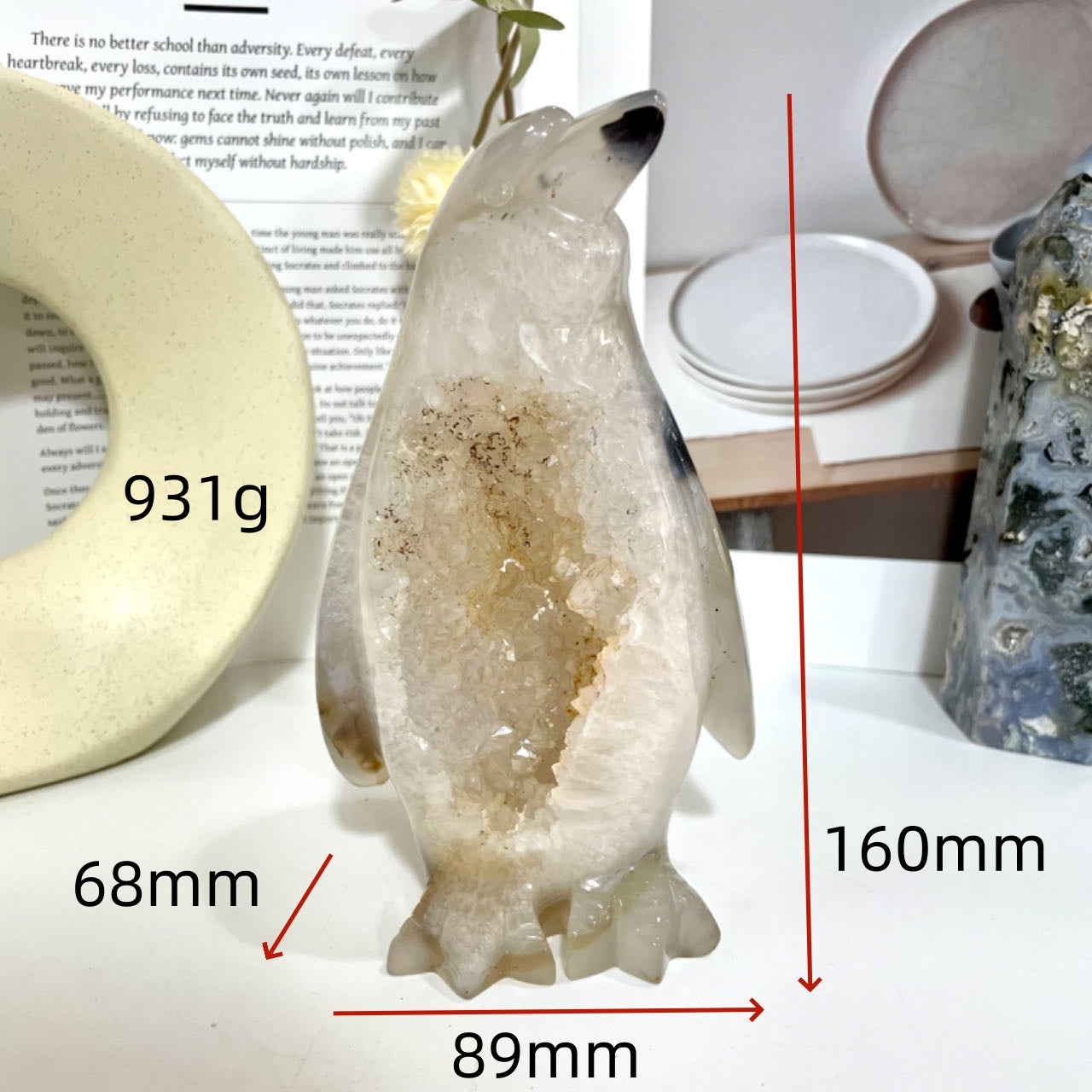 Penguin Druzy Natural Raw Geode From IG Crystal