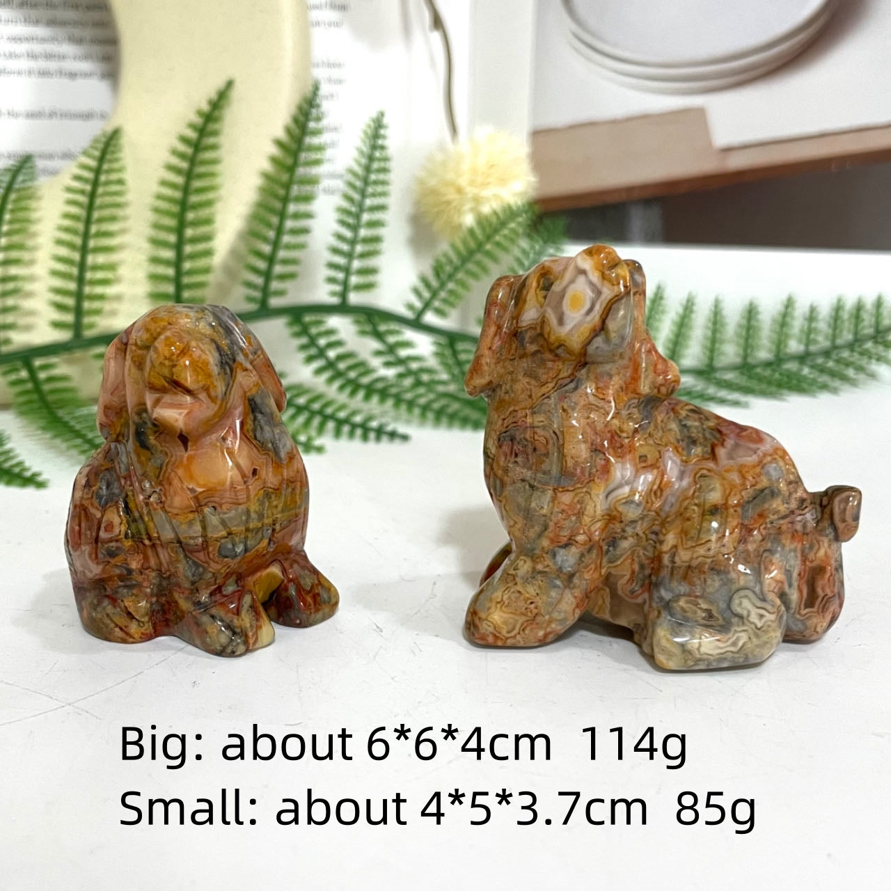 Crazy Lace Agate Animals Crystal Dog Dolphin Frog Cat Fish Shark Bear Rhinoceros Tortoise Healing Stone Home Decoration From IG Crystal