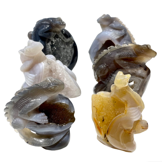 1 Count Geode Agate Lizard Healing Crystal Gem Reiki Healing Home Decor Crystal Jewelry Shop Pretty Crystals From IG Crystal