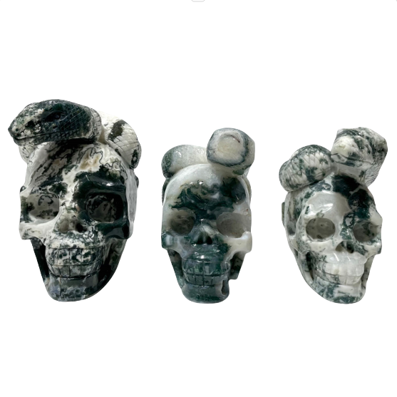 1 Count Big Moss Agate Skull With Snake Healing Crystal Gem Reiki Healing Home Decor Crystal Jewelry Shop Pretty Crystals From IG Crystal