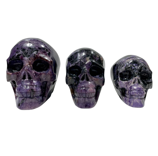 1 Count Big Charoite Skull Healing Crystal Gem Reiki Healing Home Decor Crystal Jewelry Shop Pretty Crystals From IG Crystal
