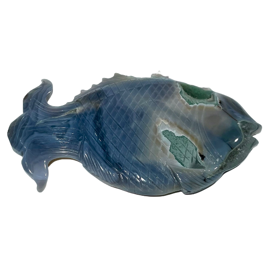 1 Count Geode Agate Fish Crystal Healing Crystal Gem Reiki Healing Home Decor Crystal Jewelry Shop Pretty Crystals From IG Crystal