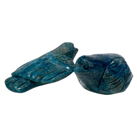 Blue Apatite Bird Crystal Carving Healing Crystal Gem Reiki Healing Home Decor Crystal Jewelry Shop Pretty Crystals From IG Crystal