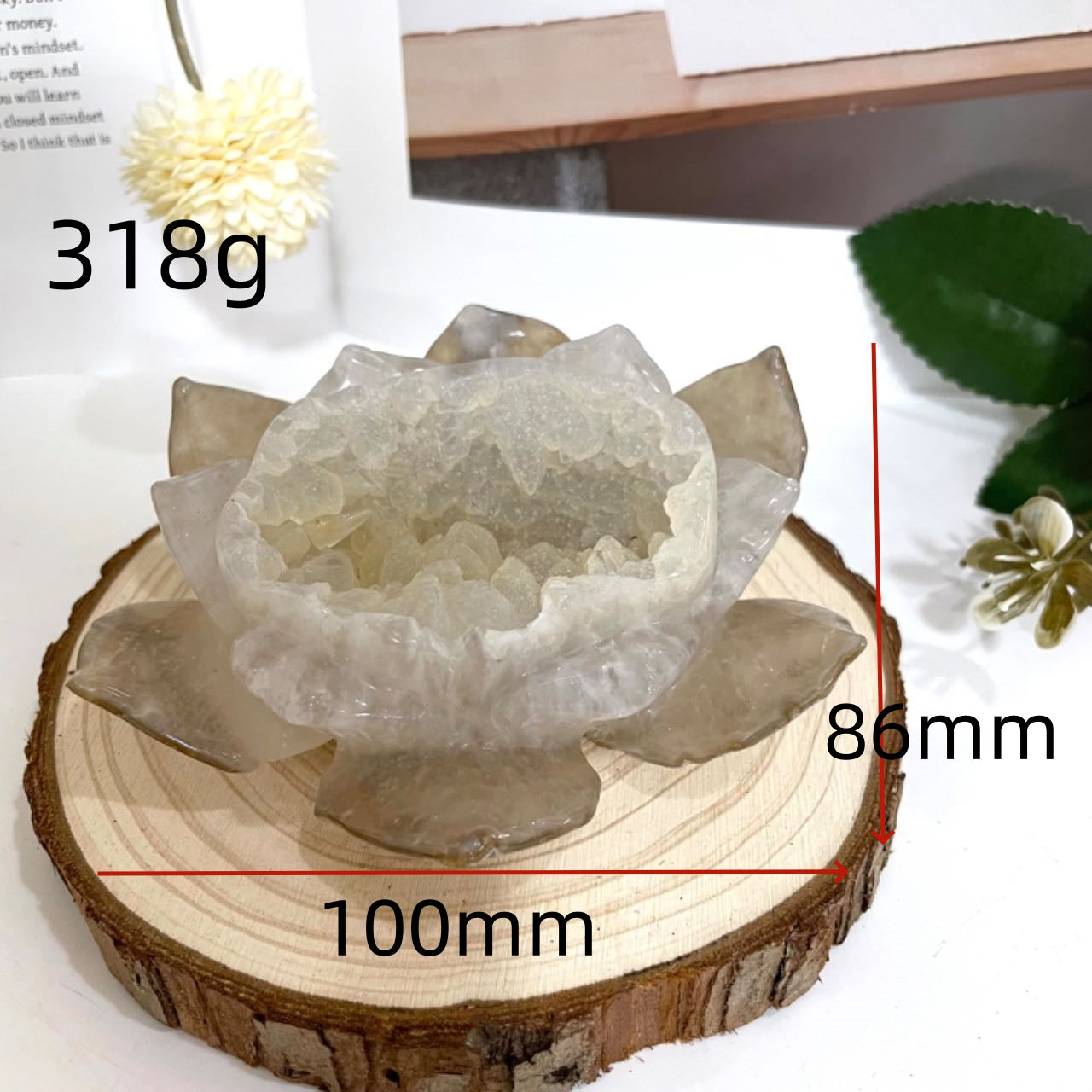 Lotus Druzy Natural Raw Geode From IG Crystal