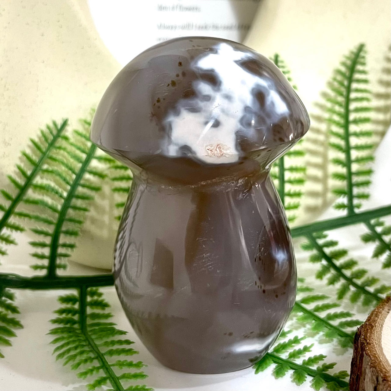 Killer Whale Mushroom Crystal Healing Stone Stochastic 2~3PCS From IG Crystal