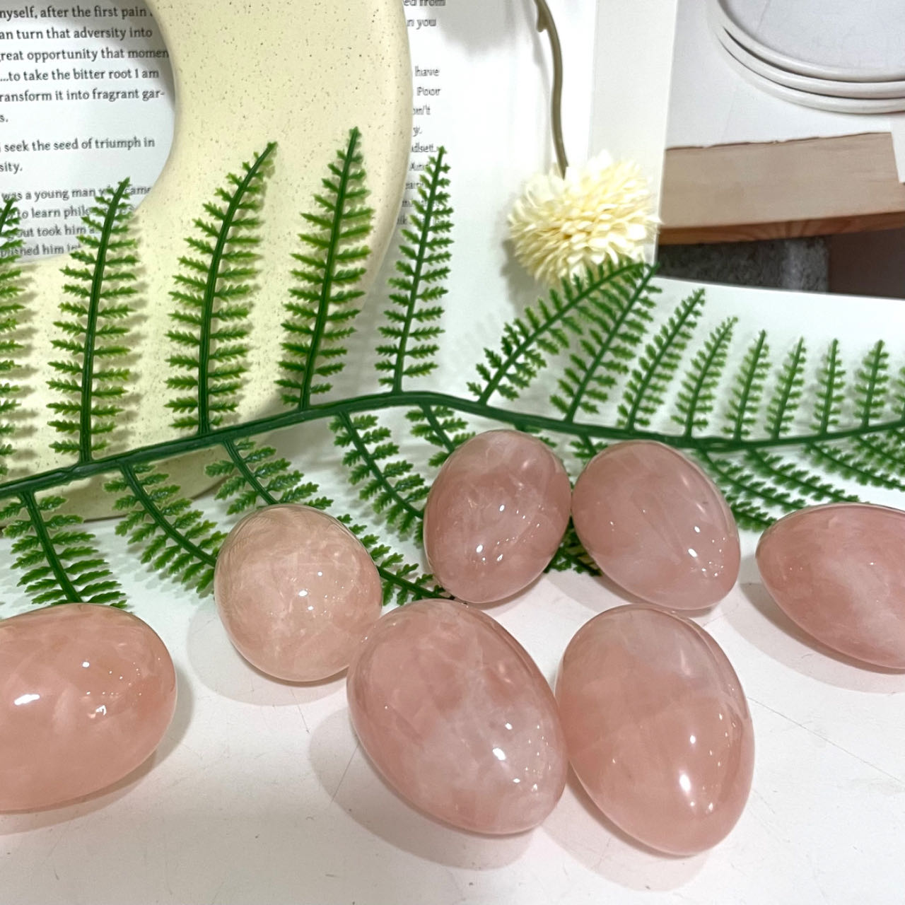 Small Eggs Ocean Jasper Rose Quartz Red Agate Woodstone Healing Stone Home Decoration From IG Crystal