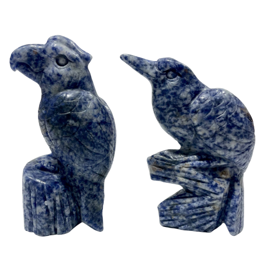 1 Count Sodalite Bird Crystal Carving Healing Crystal Gem Reiki Healing Home Decor Crystal Jewelry Shop Pretty Crystals From IG Crystal
