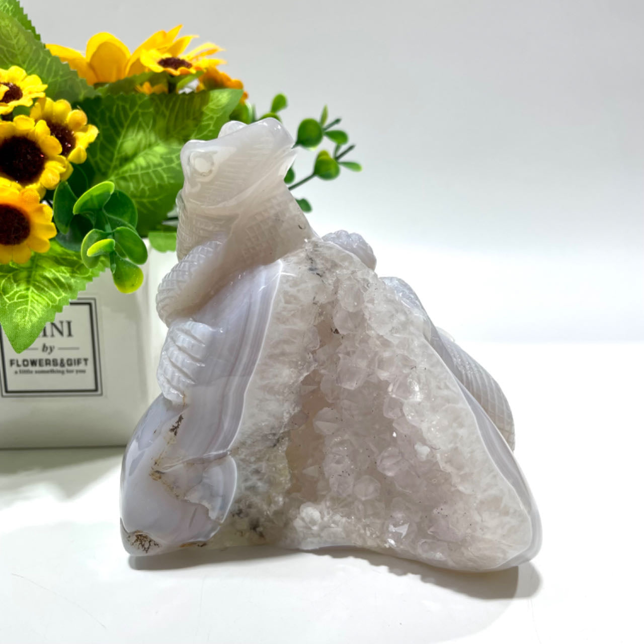 1 Count Geode Agate Lizard Healing Crystal Gem Reiki Healing Home Decor Crystal Jewelry Shop Pretty Crystals From IG Crystal
