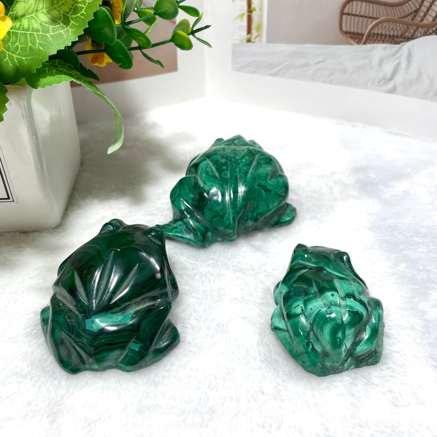 Malachite Owl Cat Frog Turtle Crystal Carving Natural Stone Gem Mining Chakra Balancing Reiki Healing Crystal Mystery Crystal Display Crystal Shopping Online Home Office Decor From IG Crystal