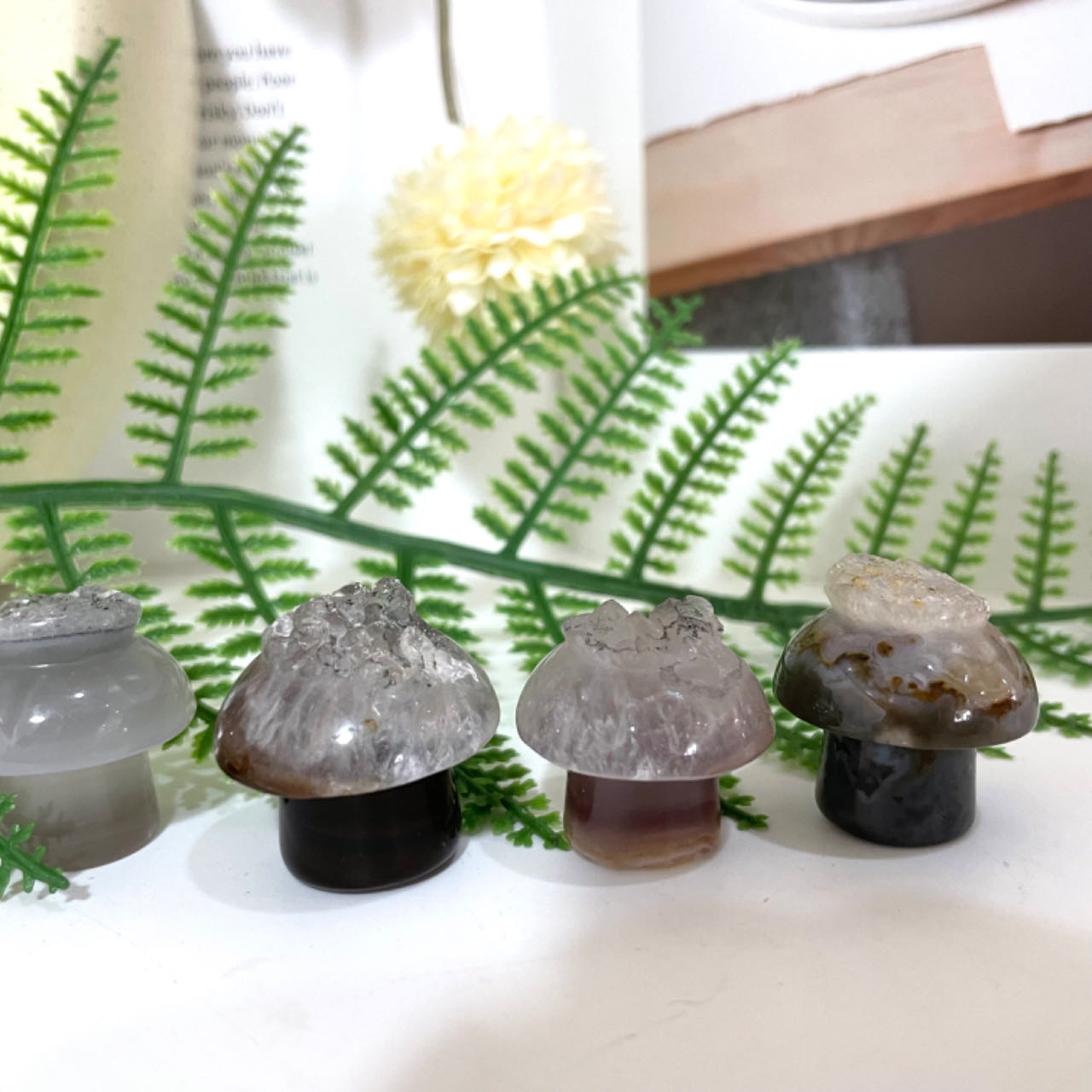 Different Maerail Small Mushrooms Druzy Natural Raw Geode Healing Stone From IG Crystal