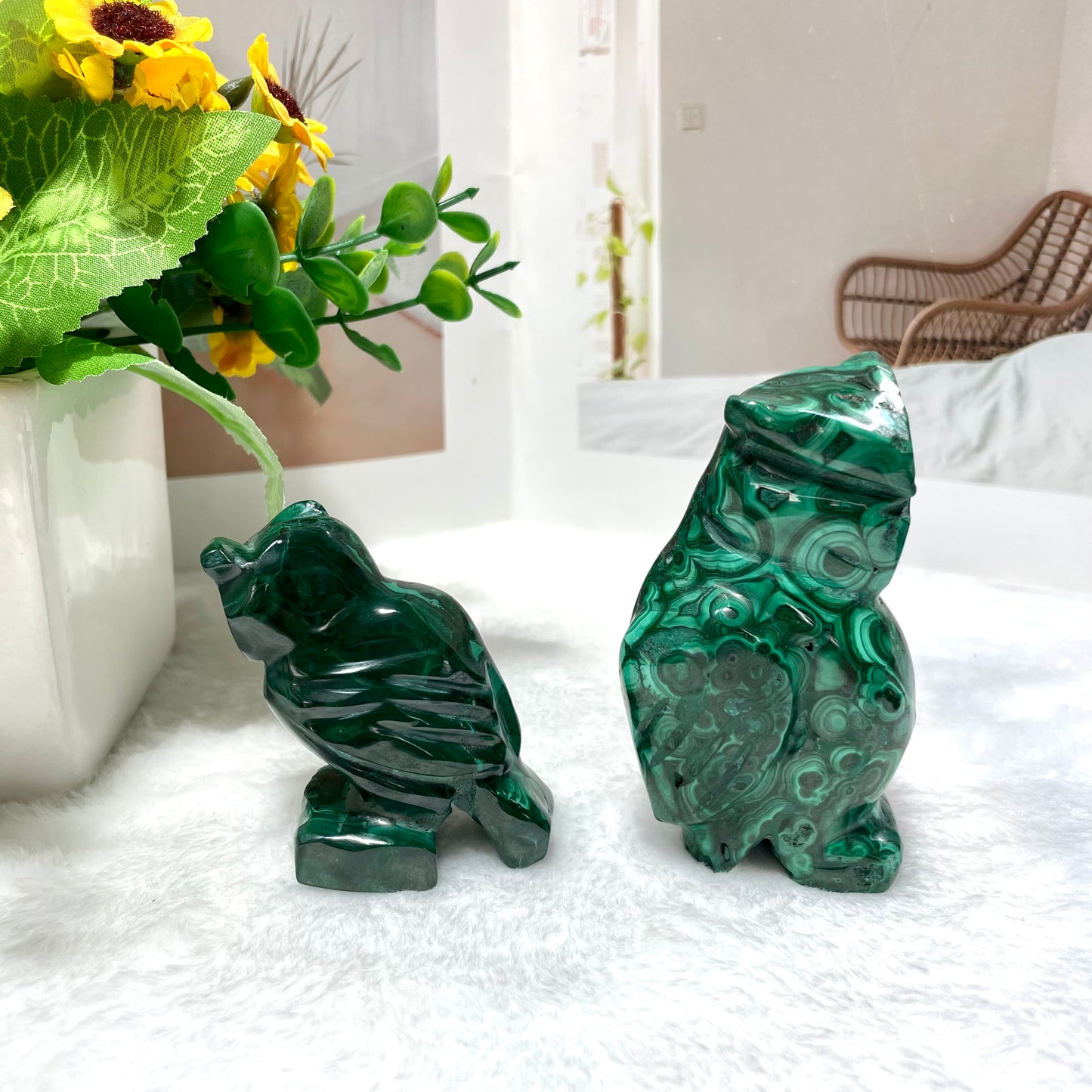 Malachite Owl Cat Frog Turtle Crystal Carving Natural Stone Gem Mining Chakra Balancing Reiki Healing Crystal Mystery Crystal Display Crystal Shopping Online Home Office Decor From IG Crystal