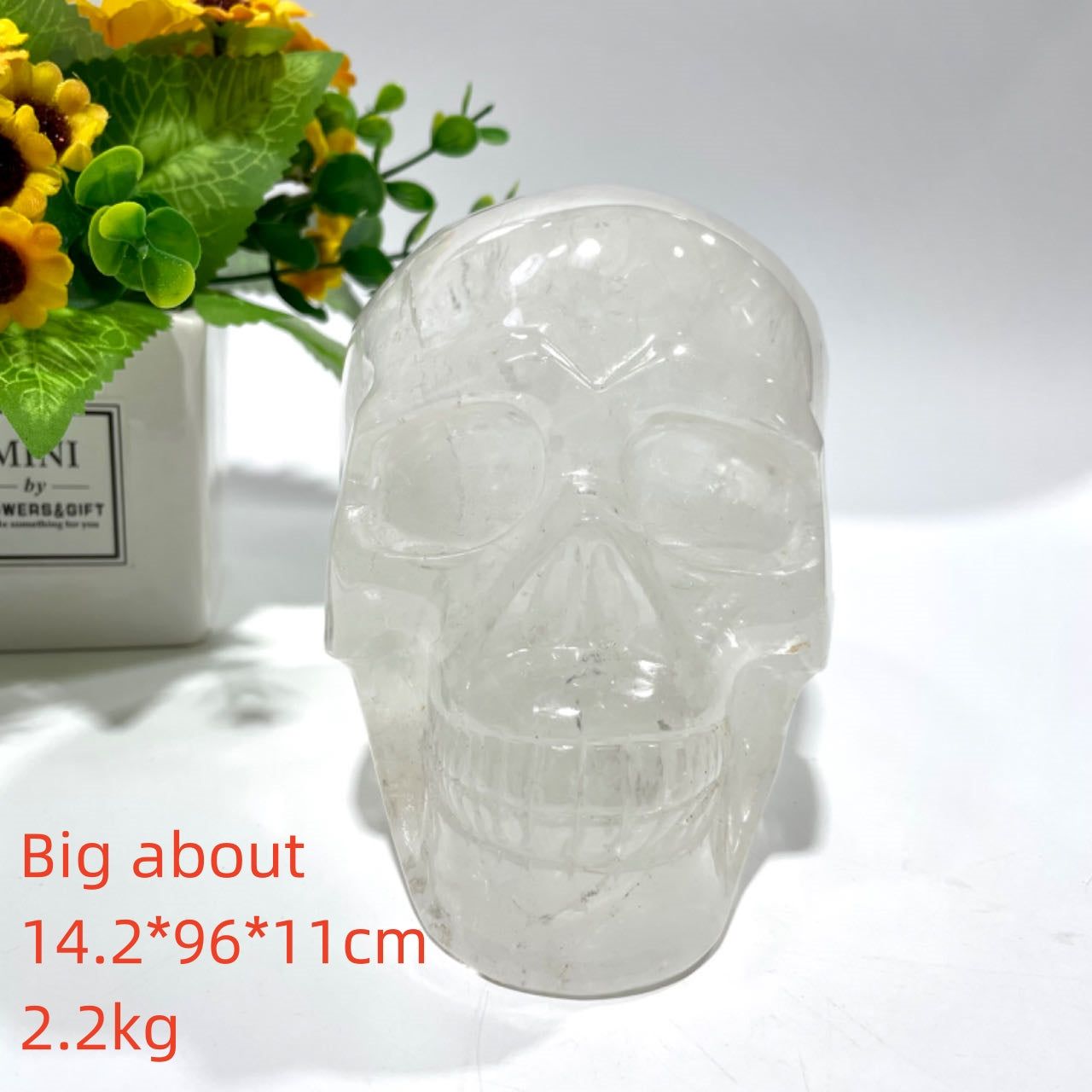 1 Count Big Clear Quartz Skull Healing Crystal Gem Reiki Healing Home Decor Crystal Jewelry Shop Pretty Crystals From IG Crystal