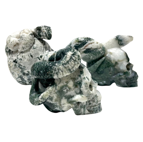 1 Count Big Moss Agate Skull With Snake Healing Crystal Gem Reiki Healing Home Decor Crystal Jewelry Shop Pretty Crystals From IG Crystal