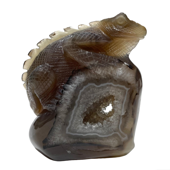 1 Count Geode Agate Lizard Healing Crystal Gem Reiki Healing Home Decor Crystal Jewelry Shop Pretty Crystals From IG Crystal