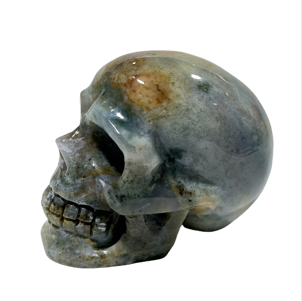 1 Count Moss Agate Skull Crystal Carving Natural Stone Gem Mining Chakra Balancing Reiki Healing Crystal Mystery Crystal Display Crystal Shopping Online Home Office Decor From IG Crystal