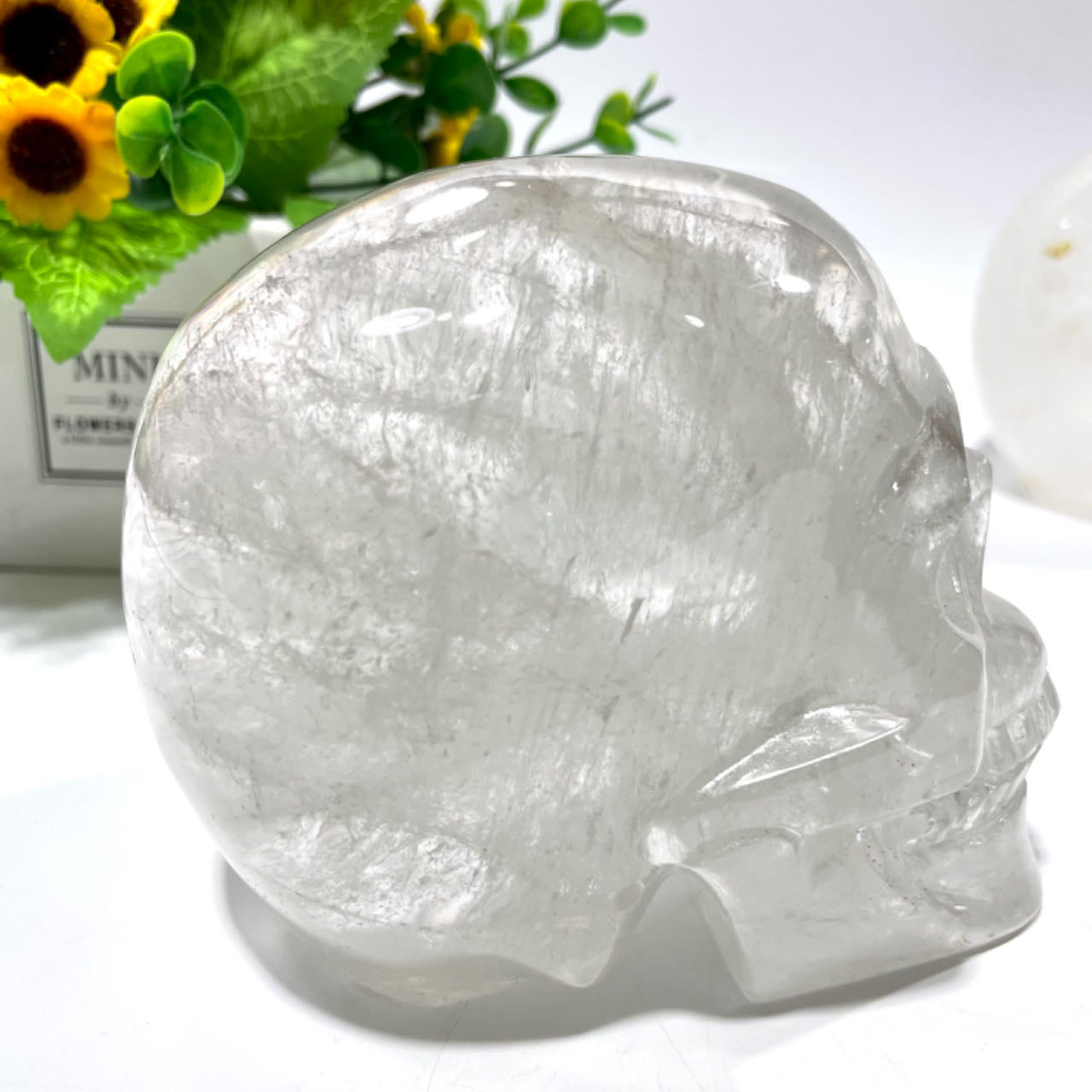 1 Count Big Clear Quartz Skull Healing Crystal Gem Reiki Healing Home Decor Crystal Jewelry Shop Pretty Crystals From IG Crystal