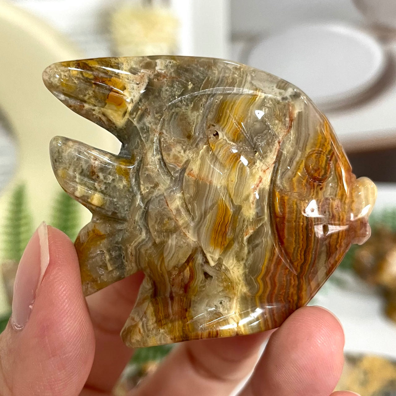 Crazy Lace Agate Animals Crystal Dog Dolphin Frog Cat Fish Shark Bear Rhinoceros Tortoise Healing Stone Home Decoration From IG Crystal
