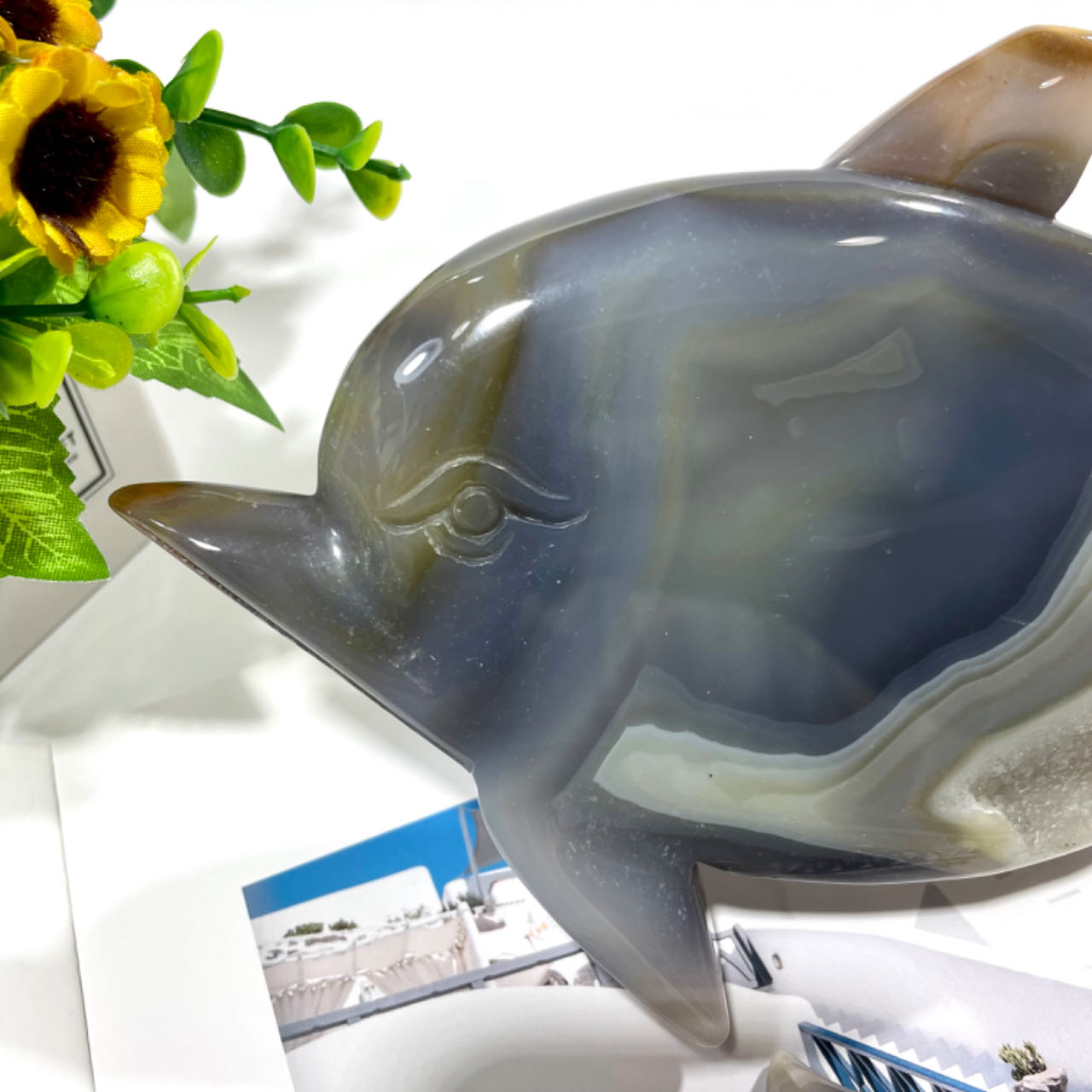 1 Count Geode Agate Dolphin Crystal Healing Crystal Gem Reiki Healing Home Decor Crystal Jewelry Shop Pretty Crystals From IG Crystal