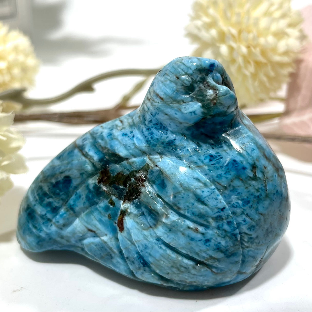 Blue Apatite Bird Crystal Carving Healing Crystal Gem Reiki Healing Home Decor Crystal Jewelry Shop Pretty Crystals From IG Crystal