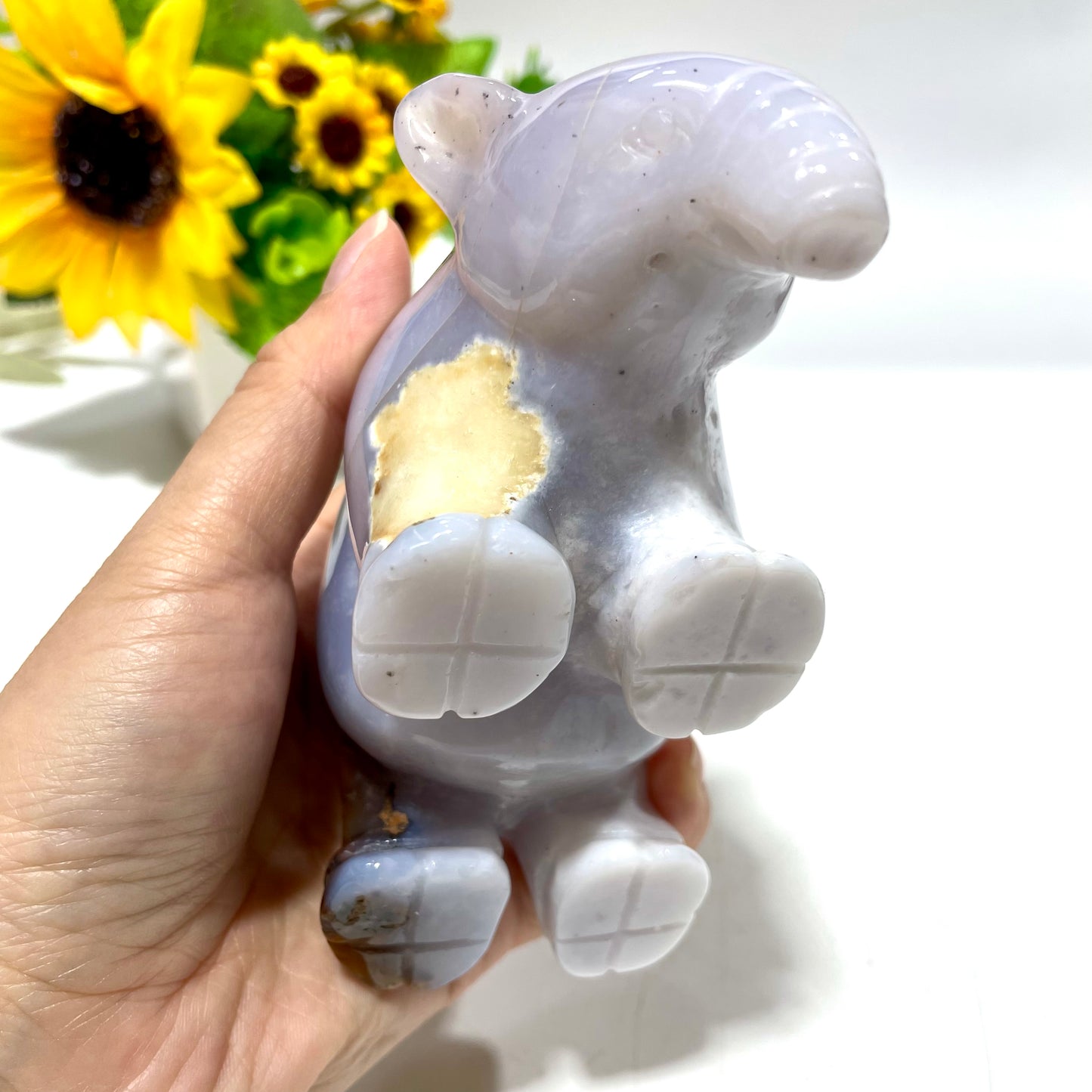1 Count Anteater Crystal Carving Chalcedony Red Picture Jasper Healing Stones Natural Stone Chakra Balancing Reiki Home Office Decor From IG Crystal
