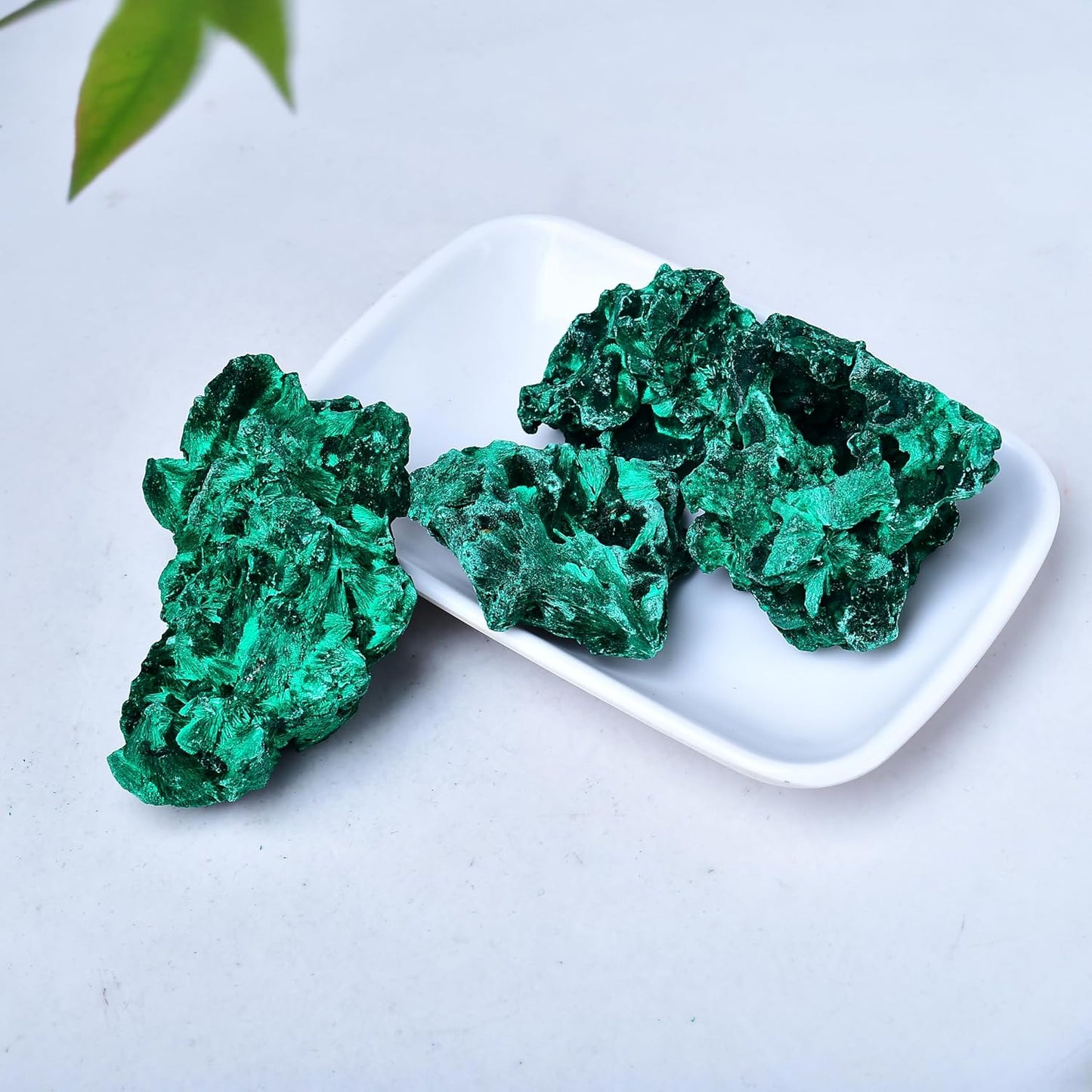 200g 300g Natural Malachite Stone Crystals Malachite Raw Irregular Rough Mineral Specimen and Healing Crystal Gem Reiki Healing Home Decor Crystal Jewelry Shop Pretty Crystals From IG Crystal
