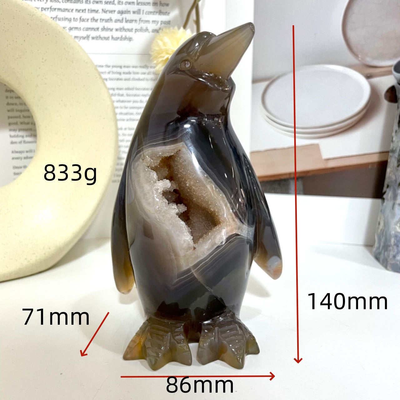 Penguin Druzy Natural Raw Geode From IG Crystal